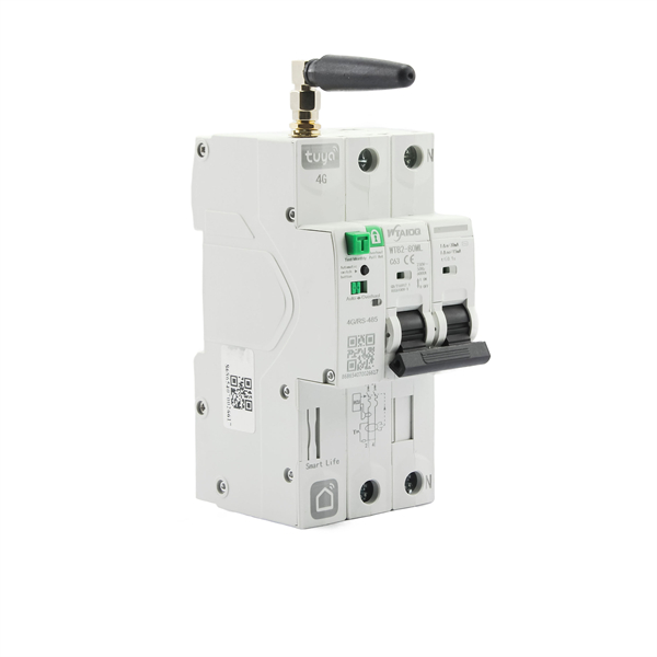 WTB2-80ML 2P IOT 4G Smart Circuit Breaker