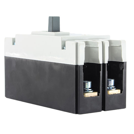 WTCM1-250-2P Moulded Case Circuit Breaker